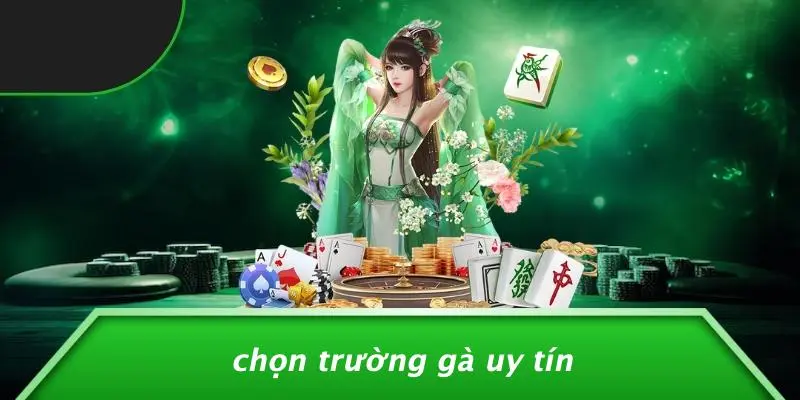 Chọn Trường Gà Uy Tín
